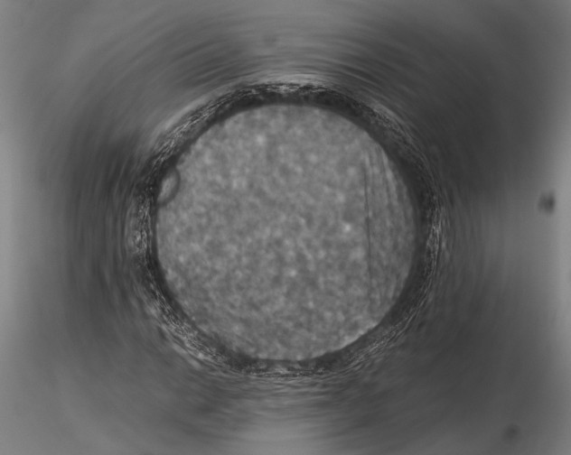 X0000115391014200912011223