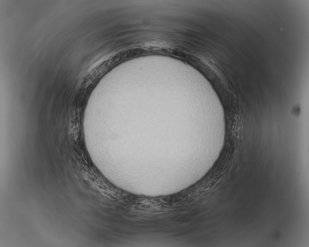 X0000115391015200912011223