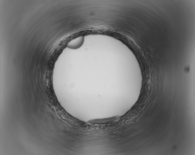 X0000115391016200912011223