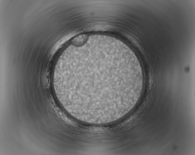 X0000115391018200912011223