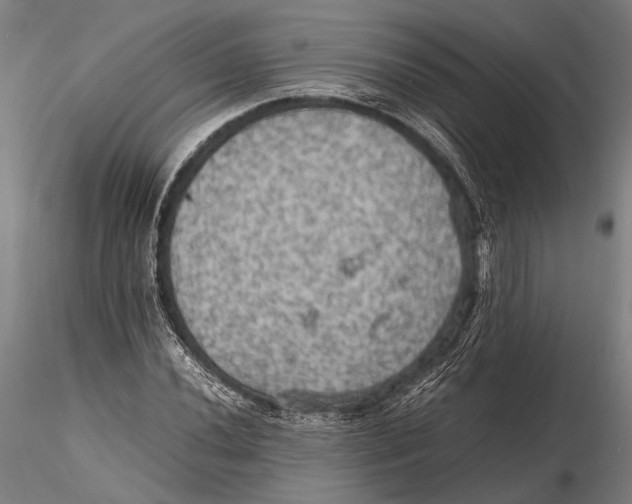 X0000115391020200912011223