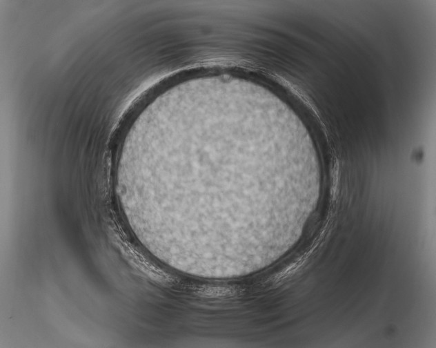 X0000115391021200912011223