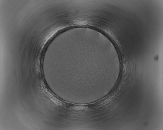 X0000115391023200912011224