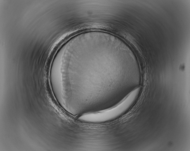 X0000115391024200912011224