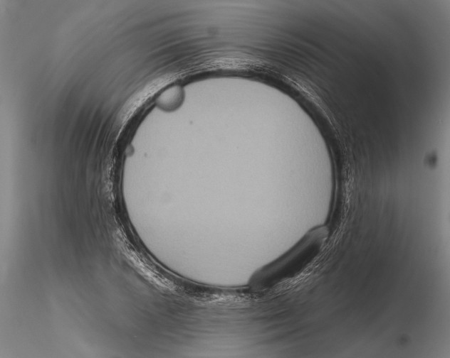 X0000115391026200912011224