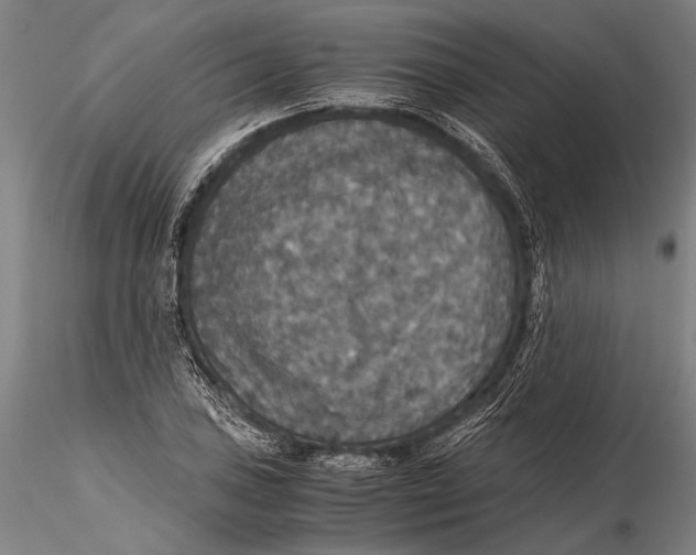 X0000115391027200912011224