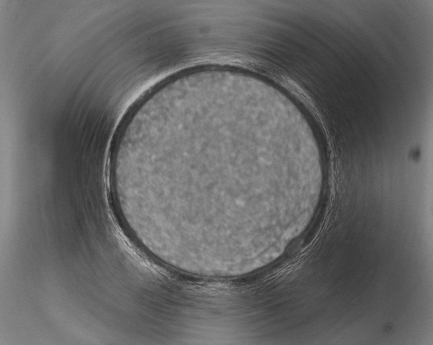 X0000115391028200912011224