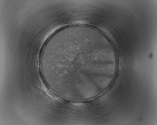 X0000115391031200912011224