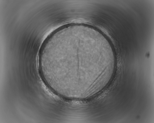 X0000115391032200912011224