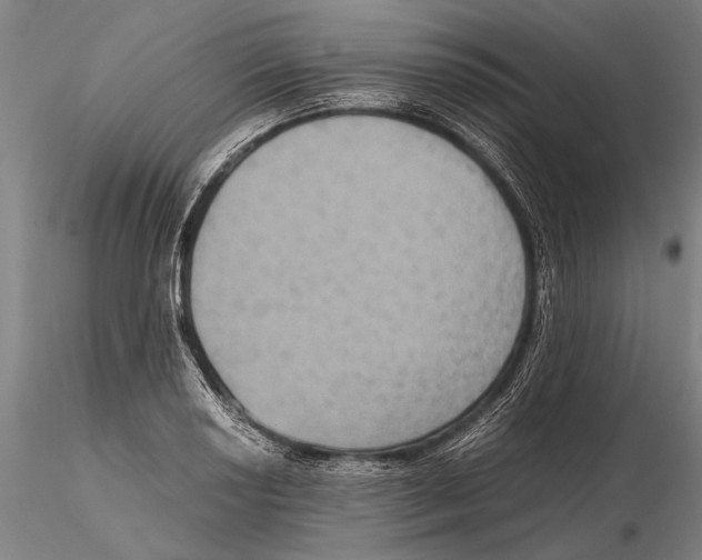 X0000115391034200912011224