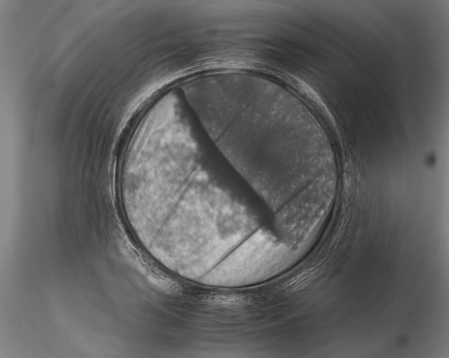 X0000115391035200912011224