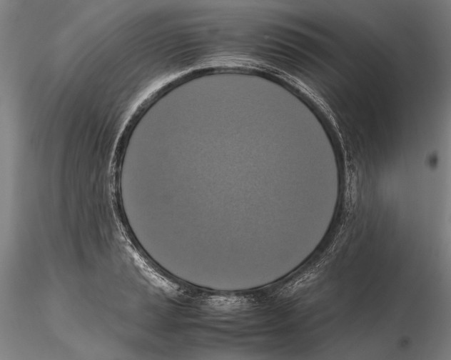 X0000115391037200912011224