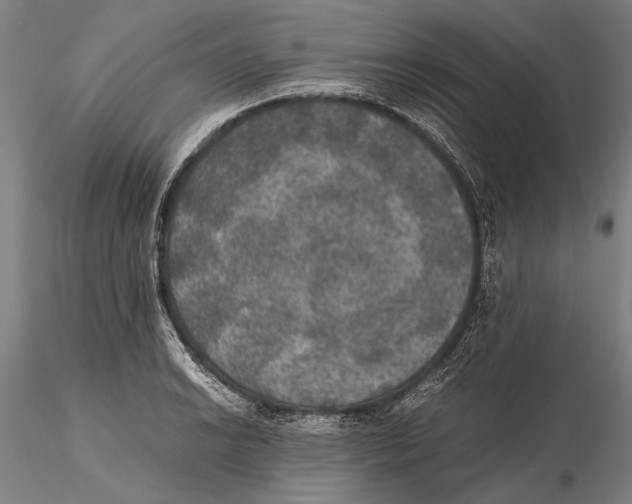 X0000115391038200912011224