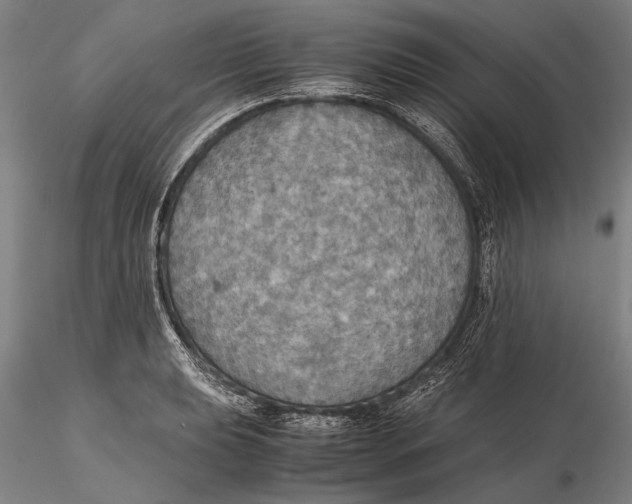 X0000115391039200912011224