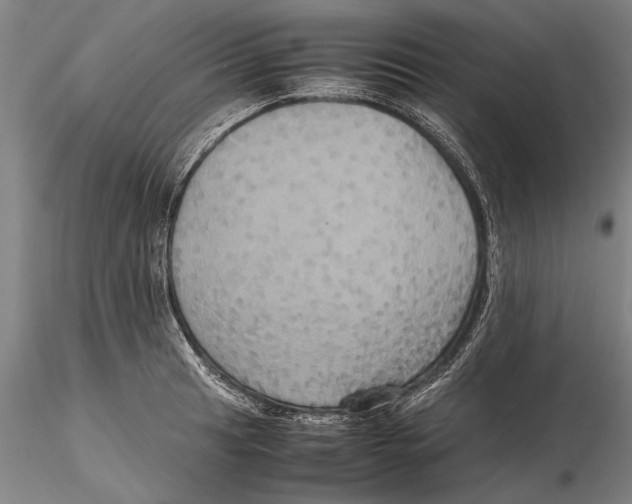 X0000115391041200912011224