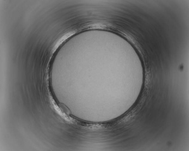 X0000115391042200912011224