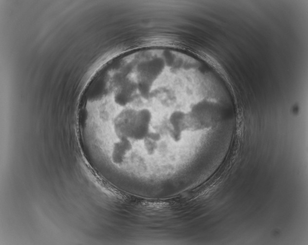 X0000115391043200912011224