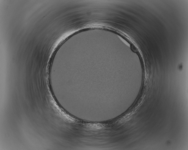 X0000115391045200912011224