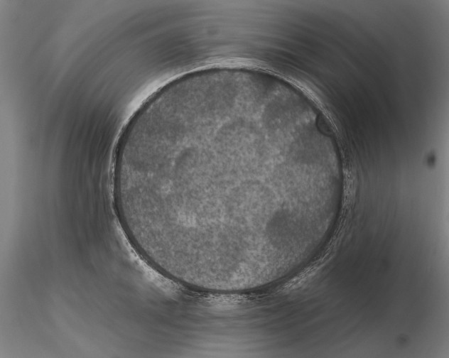 X0000115391046200912011224