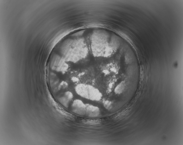 X0000115391047200912011224