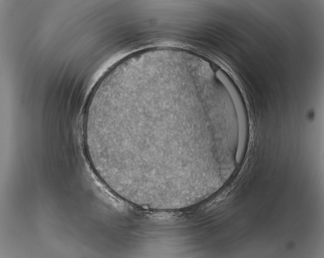 X0000115391048200912011224