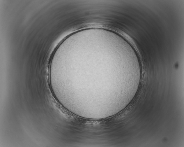 X0000115391051200912011224