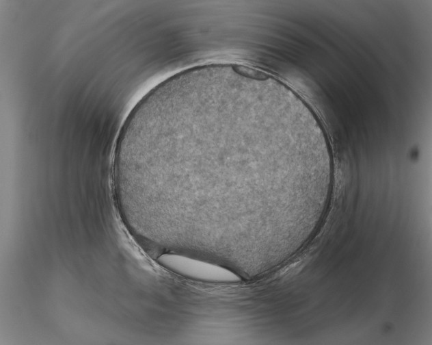 X0000115391052200912011224