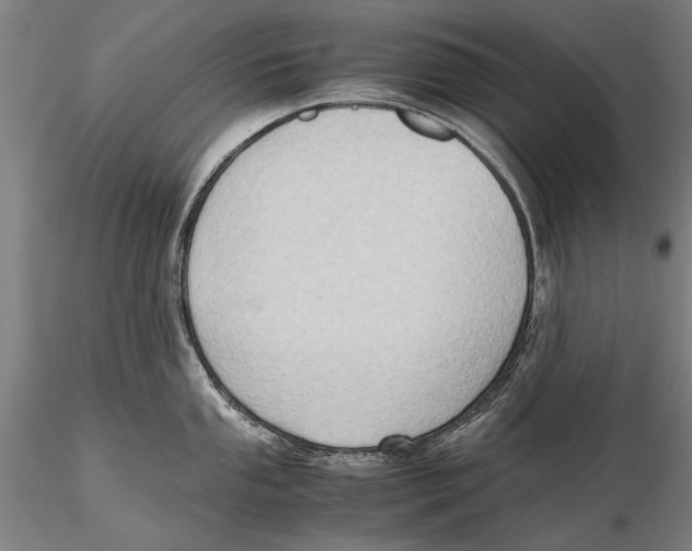 X0000115391053200912011224