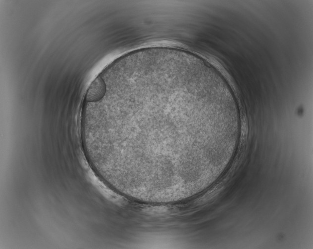 X0000115391054200912011224