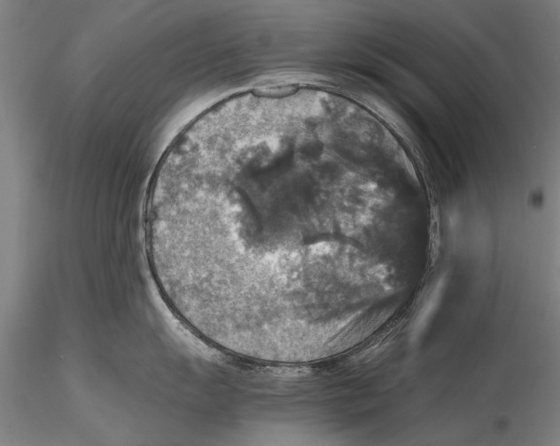 X0000115391055200912011224