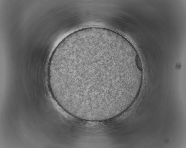 X0000115391056200912011224