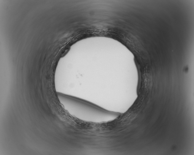 X0000115391057200912011223