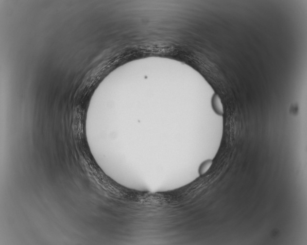 X0000115391058200912011223