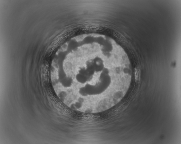 X0000115391059200912011223