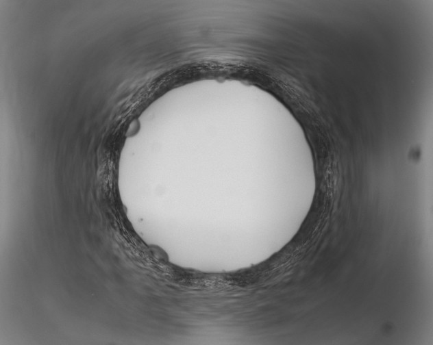 X0000115391061200912011223