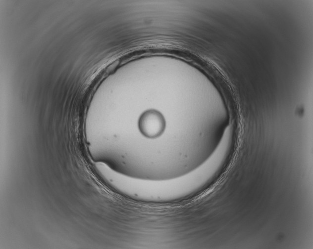 X0000115391065200912011223