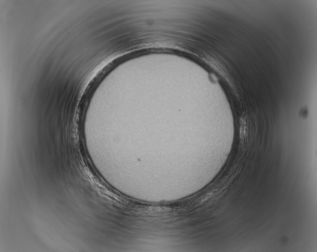 X0000115391068200912011223