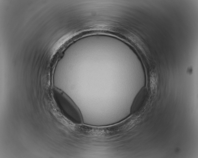 X0000115391069200912011223