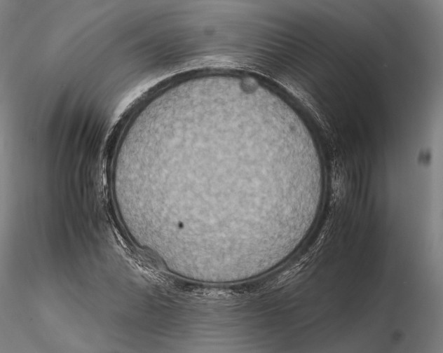 X0000115391070200912011223