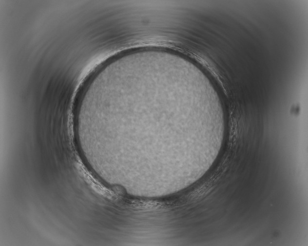 X0000115391072200912011223