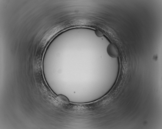 X0000115391073200912011223