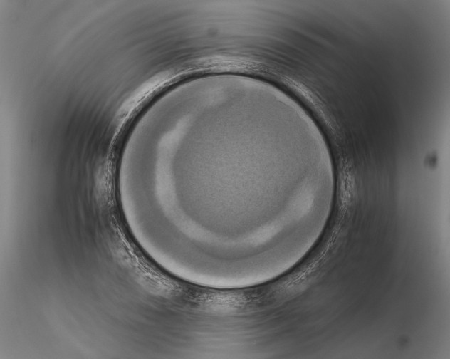 X0000115391074200912011223