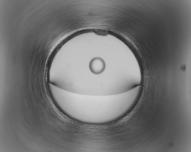 X0000115391077200912011223