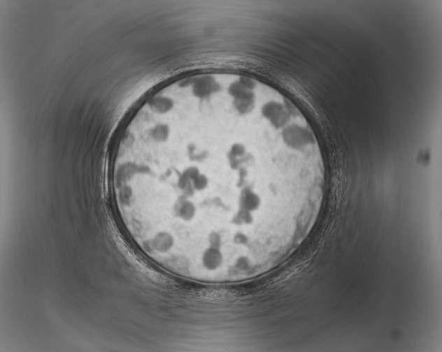 X0000115391079200912011223