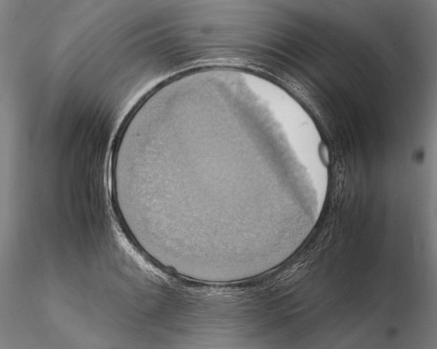 X0000115391084200912011223