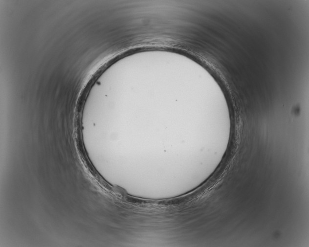 X0000115391085200912011223