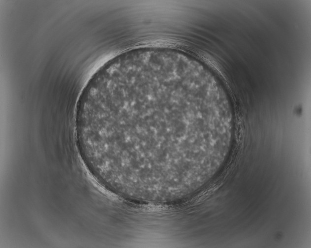 X0000115391087200912011223