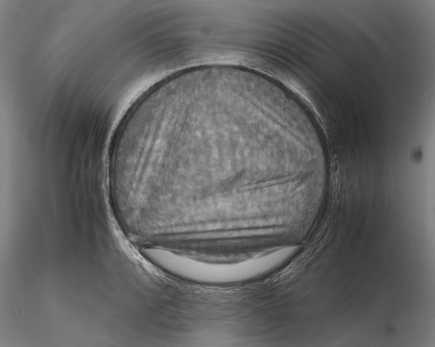 X0000115391088200912011223