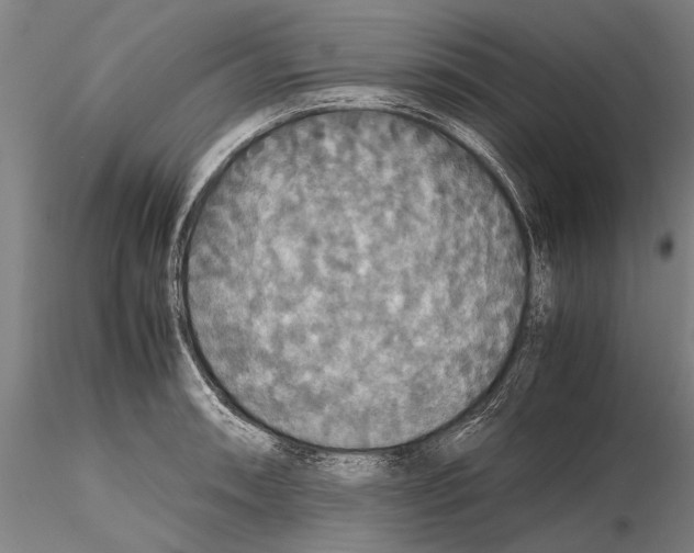 X0000115391090200912011223