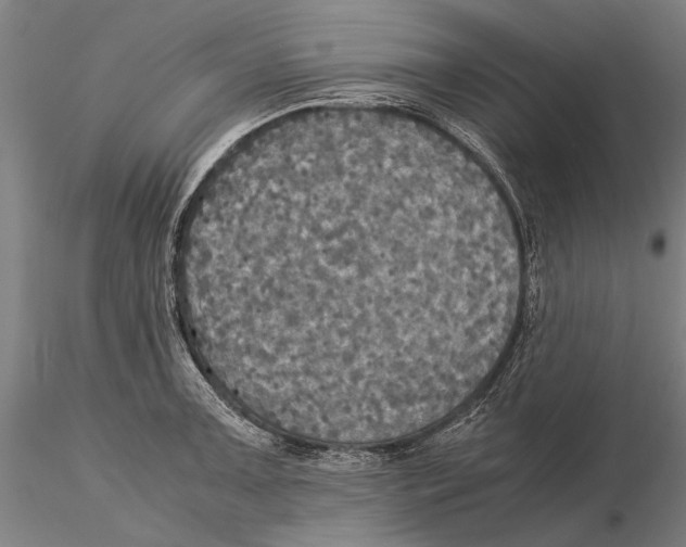 X0000115391091200912011223